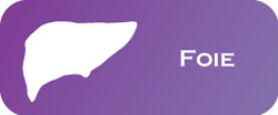 foie-ICON